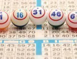 Strategies & Tips to win at bingo last update: February 2026